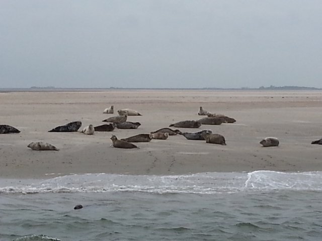 HWK Texel 113.jpg